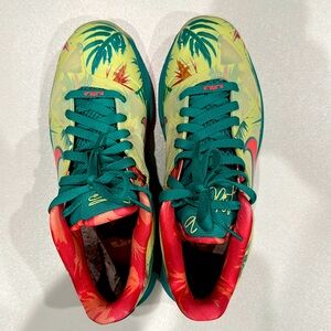 Nike Lebron 9 low Arnold Palmer